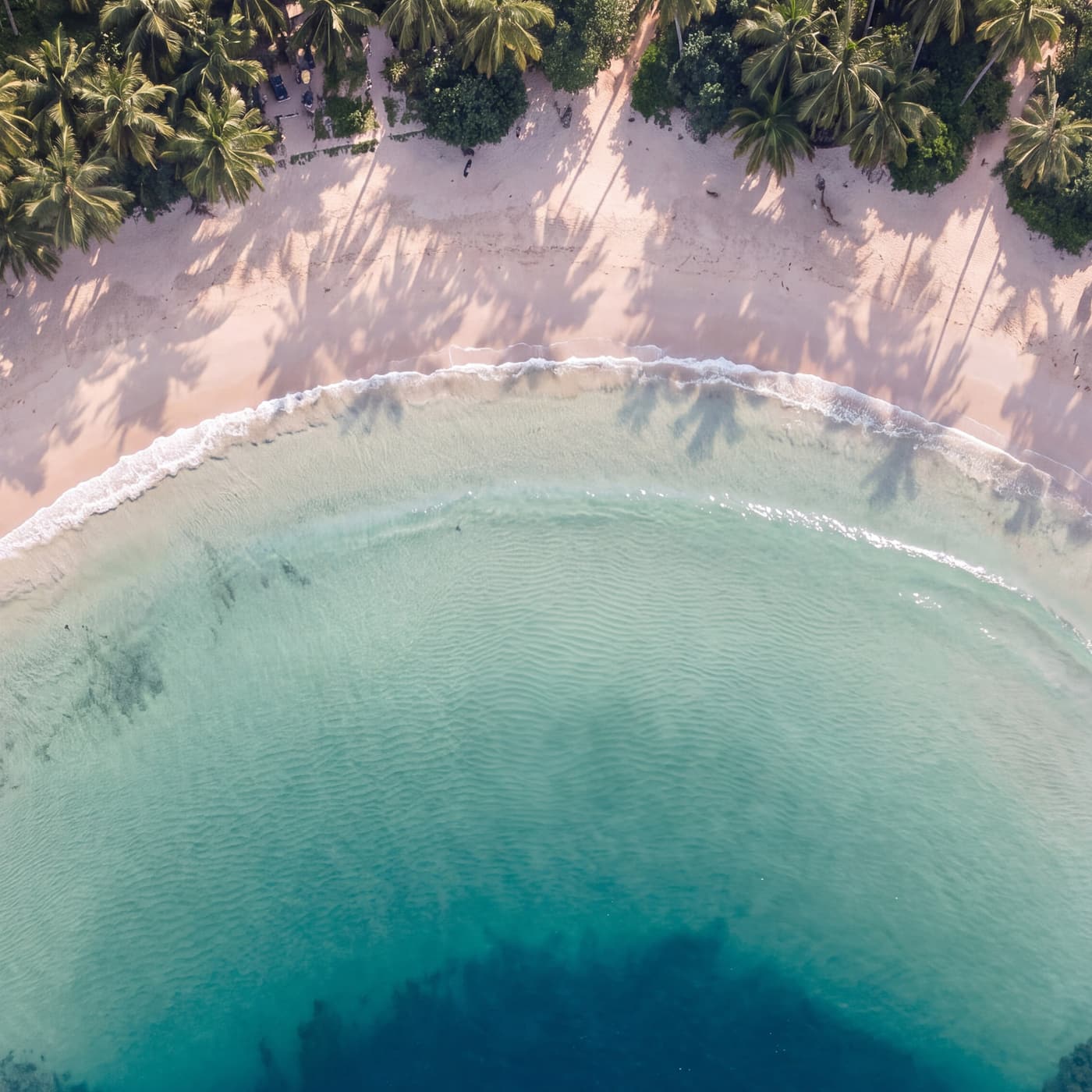 From above, pale sand, palm shadows and turquoise water