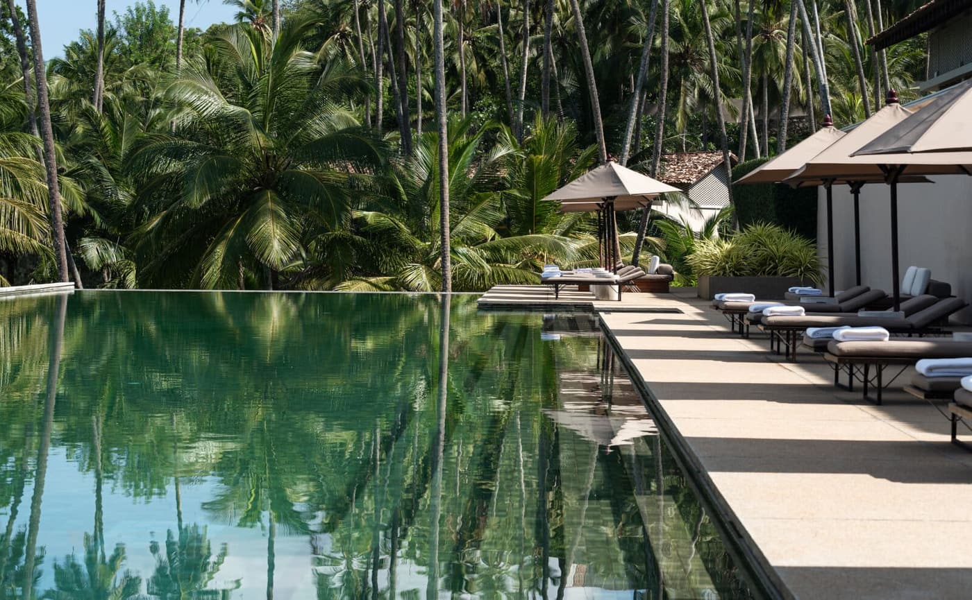 A long infinity pool among palms, steps down to the sea