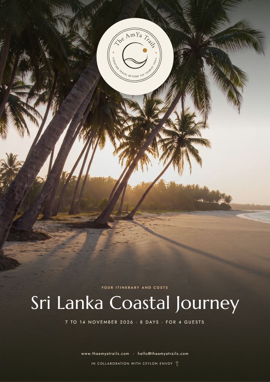 The cover of the guide made for AmYa's clients